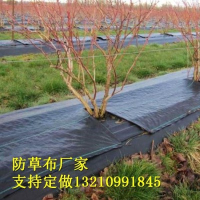 山東德州宇潤土工材料廠家-加工定制防草布工農業用塑料制品編織防草布-可降解果樹果園防草布果園園林防草布-花卉防草專用布