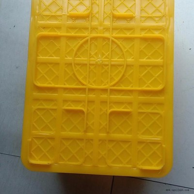 泥鰍箱，臨沂泥鰍周轉箱，塑料泥鰍箱