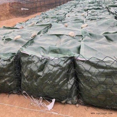 廠家現貨 批發防汛生態土工石籠袋 土工膜袋山體護坡 PET抗沖植生袋