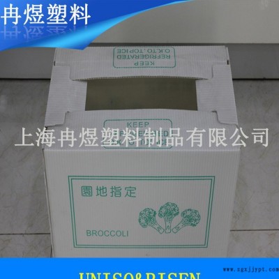 塑料中空板箱，PP中空板箱，環(huán)保塑料周轉箱 生產(chǎn)
