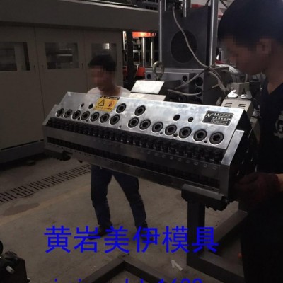 片材PP擠出成型模具 精密片材擠出模具，臺州黃巖PMMA片材模具，