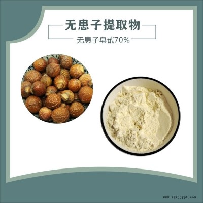 無患子皂甙 天域生物 無患子皂甙10%-70% 洗滌用品發泡劑 現貨供應