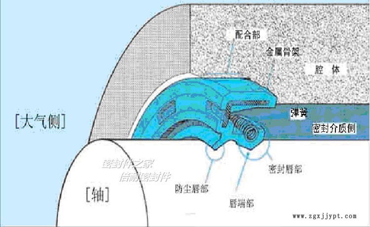 TC圖1