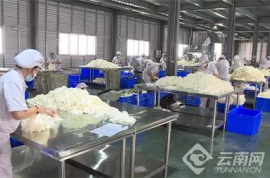 延伸產業鏈 全力推進橡膠產業提質增效